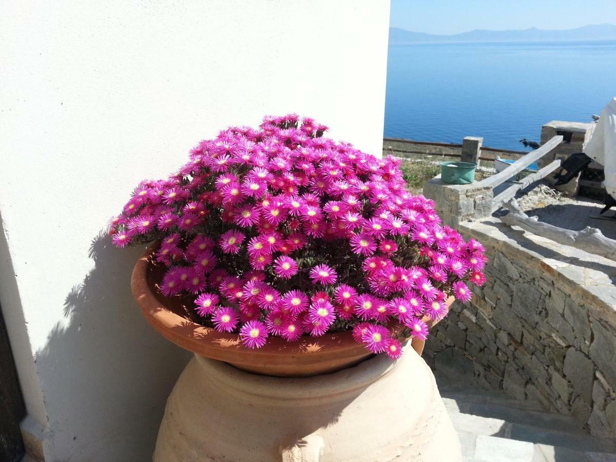 Aegean View - Seaside Apartment In Syros Azolimnos Syros Exterior photo